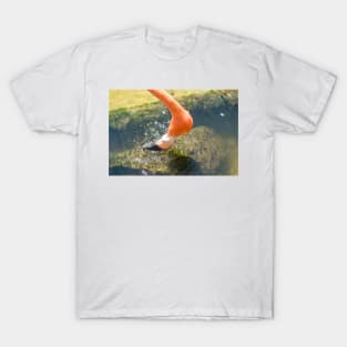 Flamingo head T-Shirt